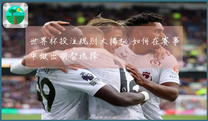 世界杯投注规则大揭秘 如何在赛事中做出明智选择