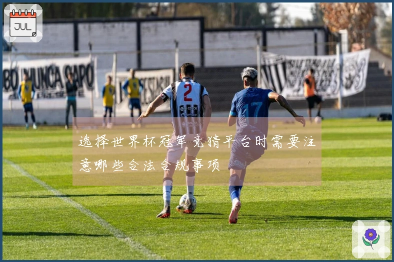 选择世界杯冠军竞猜平台时需要注意哪些合法合规事项