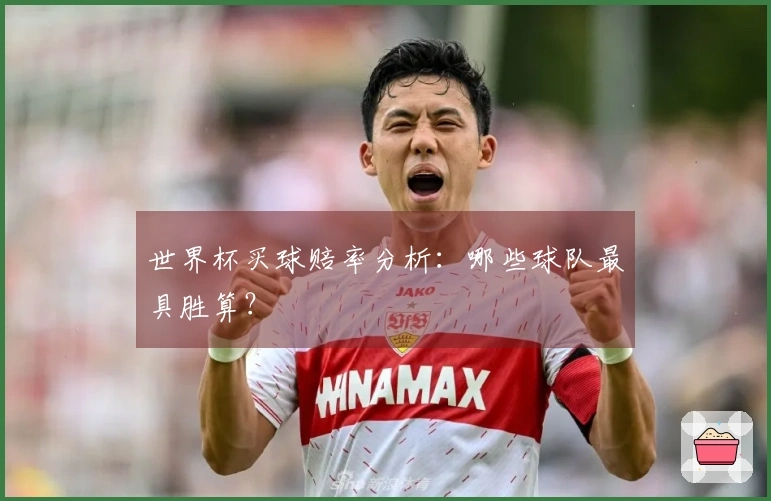 世界杯买球赔率分析：哪些球队最具胜算？