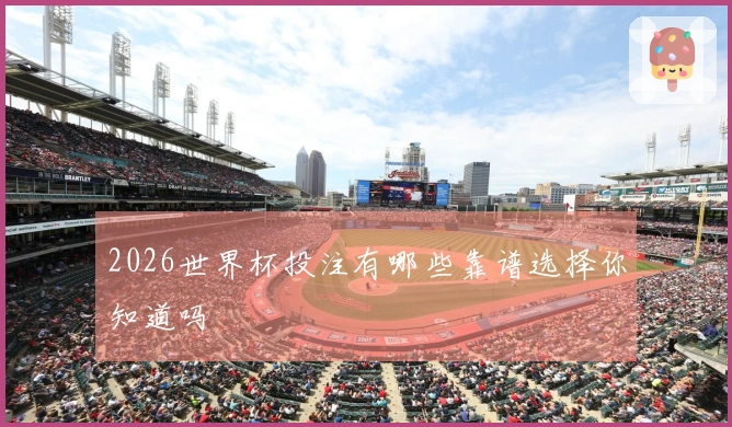 2026世界杯投注有哪些靠谱选择你知道吗