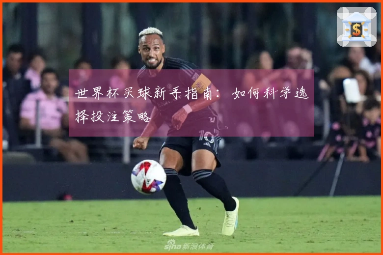 世界杯买球新手指南：如何科学选择投注策略