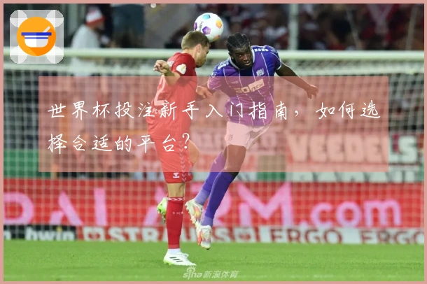 世界杯投注新手入门指南，如何选择合适的平台？