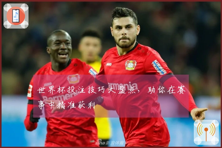 世界杯投注技巧大盘点，助你在赛事中精准获利