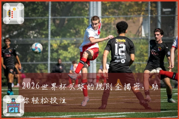 2026世界杯买球的规则全揭密，助你轻松投注