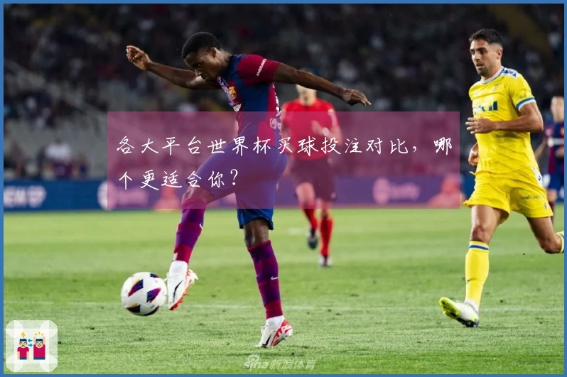 各大平台世界杯买球投注对比，哪个更适合你？