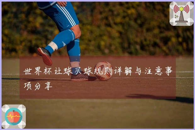 世界杯让球买球规则详解与注意事项分享