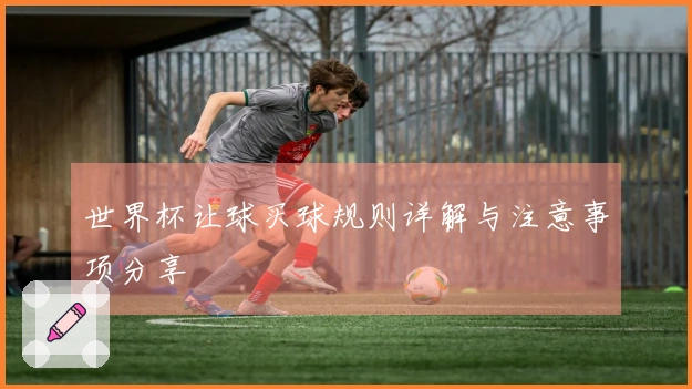 世界杯让球买球规则详解与注意事项分享