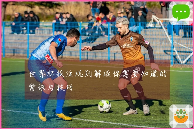 世界杯投注规则解读你需要知道的常识与技巧