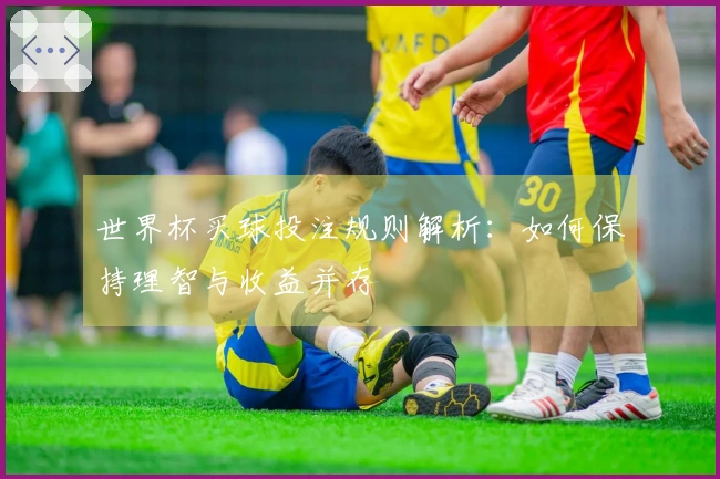 世界杯买球投注规则解析：如何保持理智与收益并存
