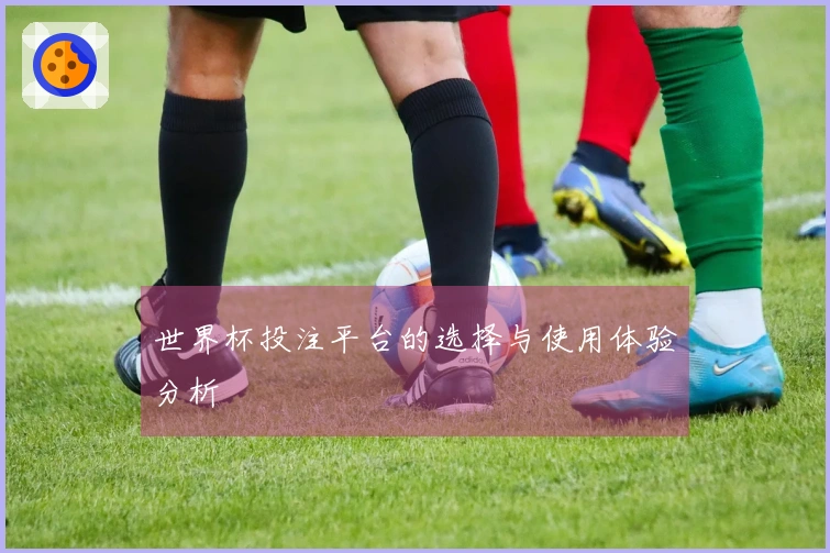 世界杯投注平台的选择与使用体验分析