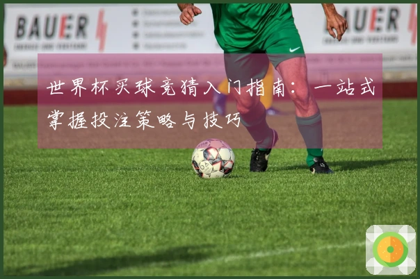 世界杯买球竞猜入门指南：一站式掌握投注策略与技巧