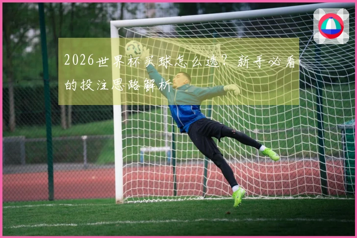 2026世界杯买球怎么选？新手必看的投注思路解析