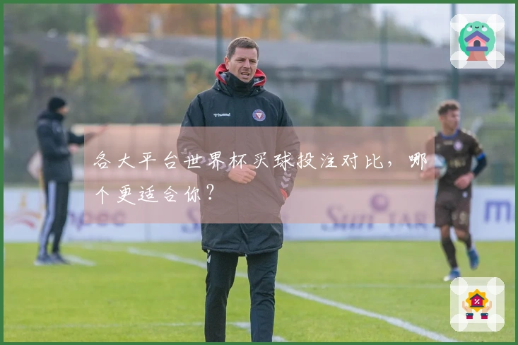 各大平台世界杯买球投注对比，哪个更适合你？
