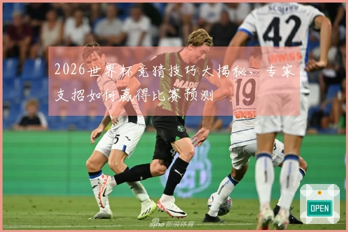 2026世界杯竞猜技巧大揭秘，专家支招如何赢得比赛预测