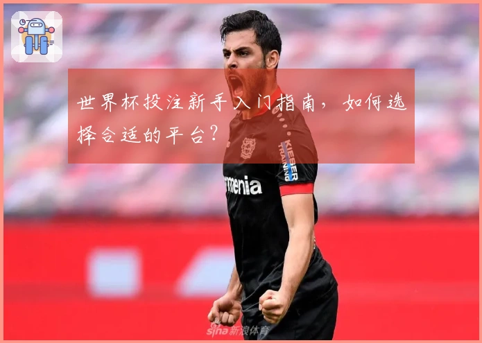 世界杯投注新手入门指南，如何选择合适的平台？