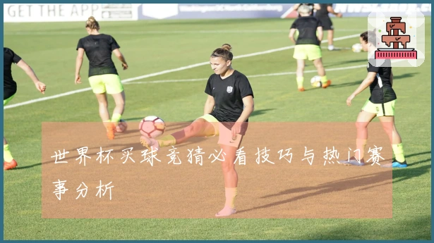 世界杯买球竞猜必看技巧与热门赛事分析