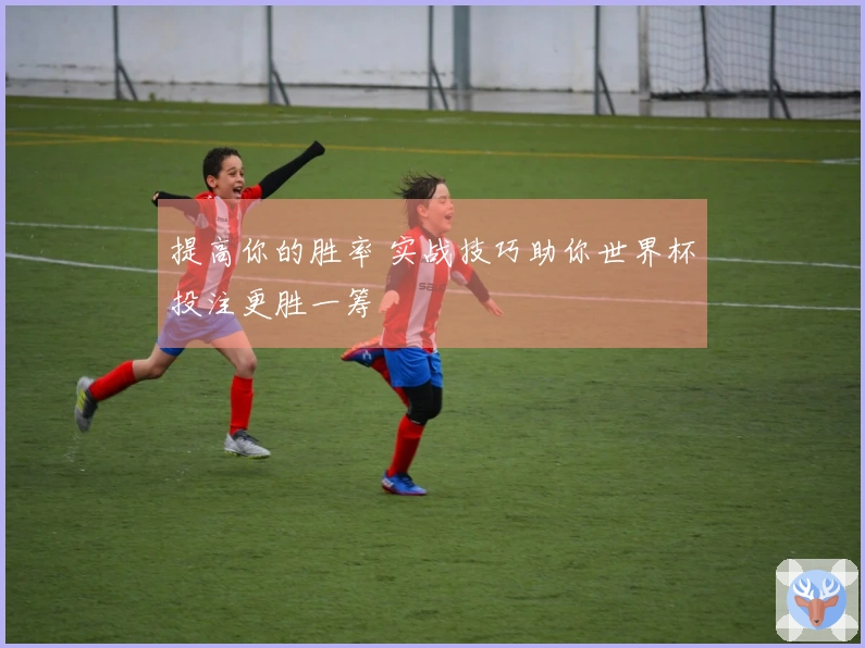 提高你的胜率 实战技巧助你世界杯投注更胜一筹