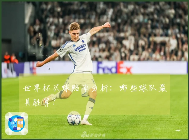世界杯买球赔率分析：哪些球队最具胜算？