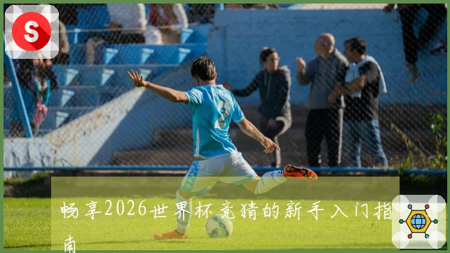 畅享2026世界杯竞猜的新手入门指南