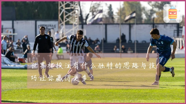 世界杯投注有什么独特的思路与技巧让你赢得更多？